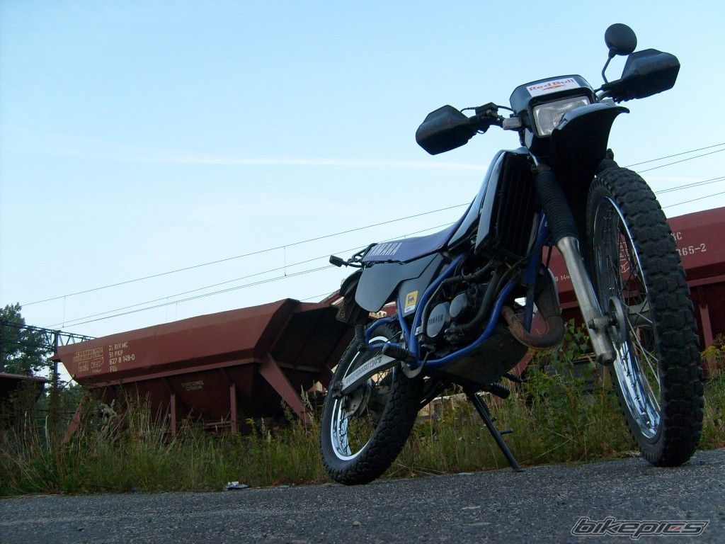 Photo 1407855