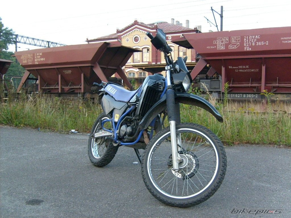 Photo 1407856
