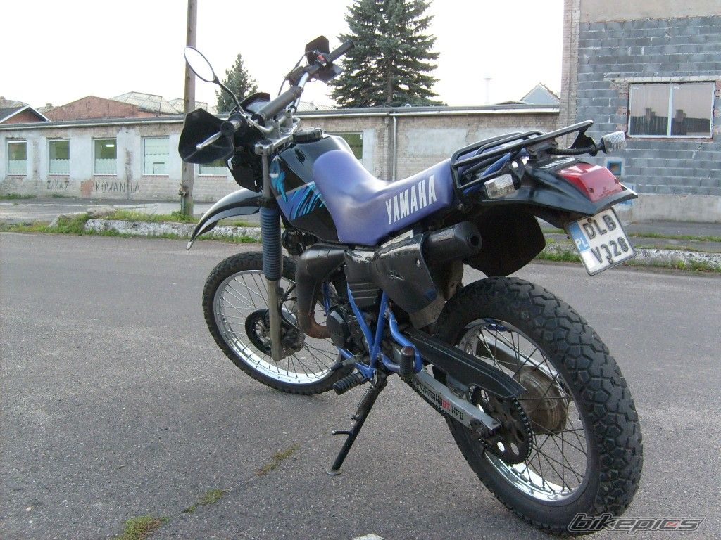 Photo 1407859