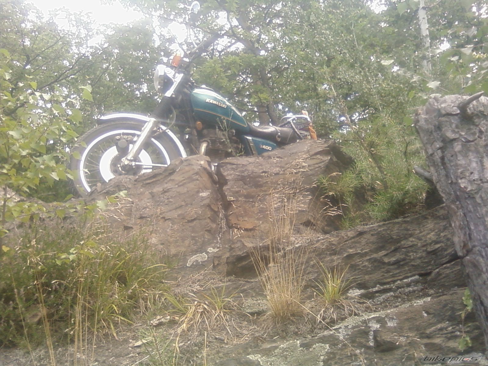 Bike Photo 1407960
