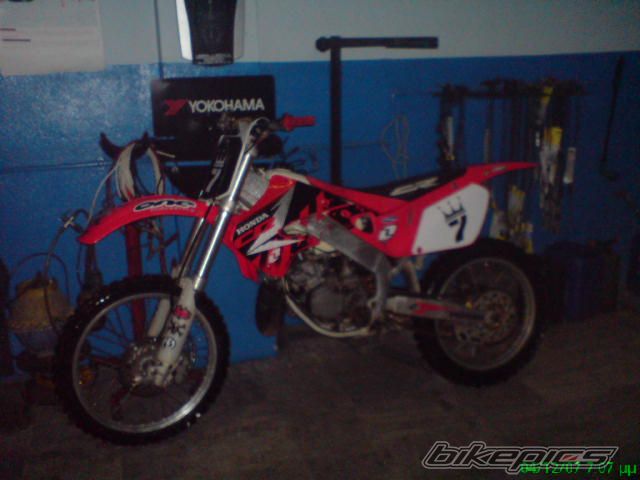 Photo 1407974