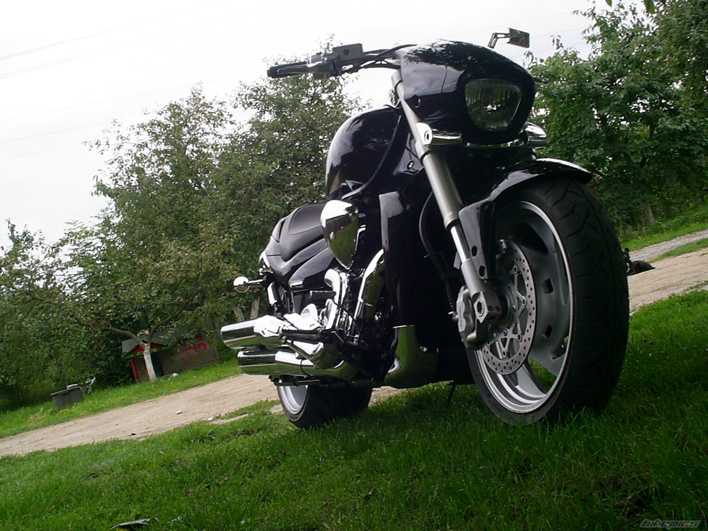 Photo 1408089
