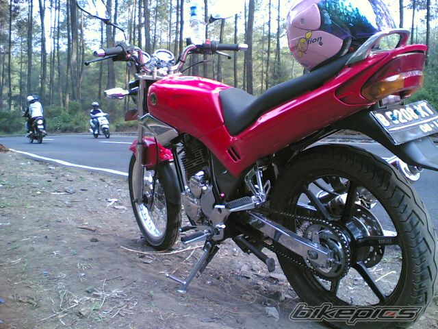 Photo 1408244