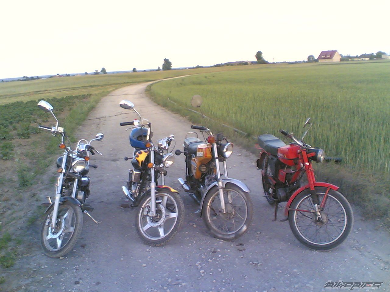 Photo 1408252