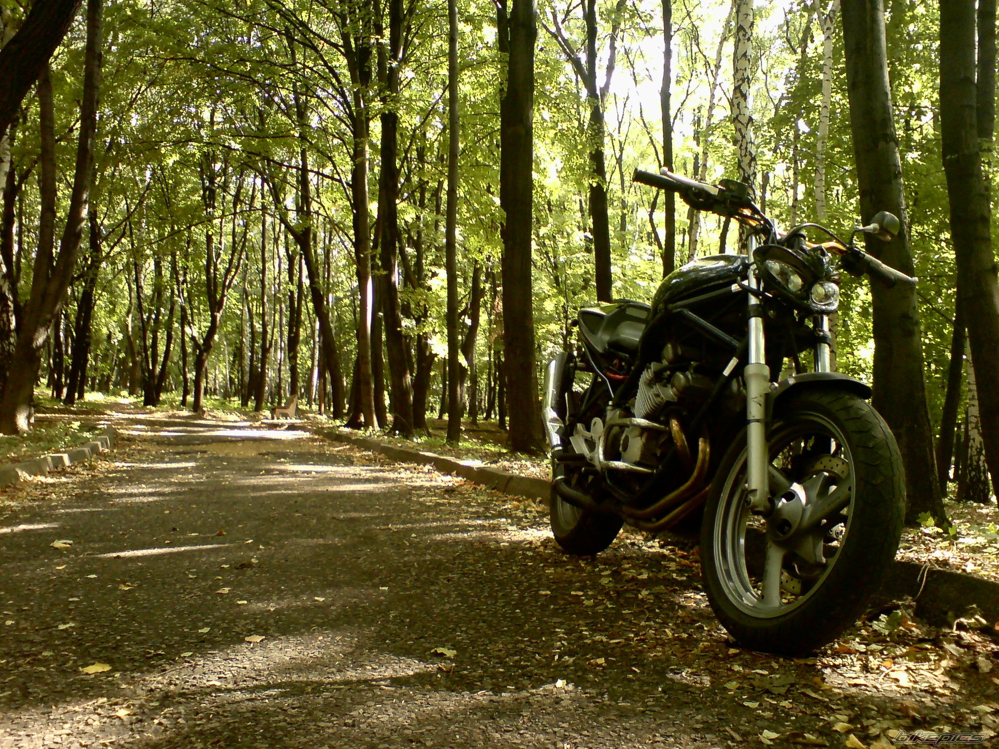 Bike Photo 1408601