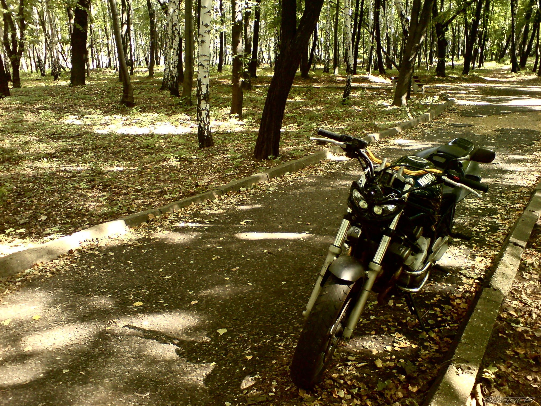 Bike Photo 1408632