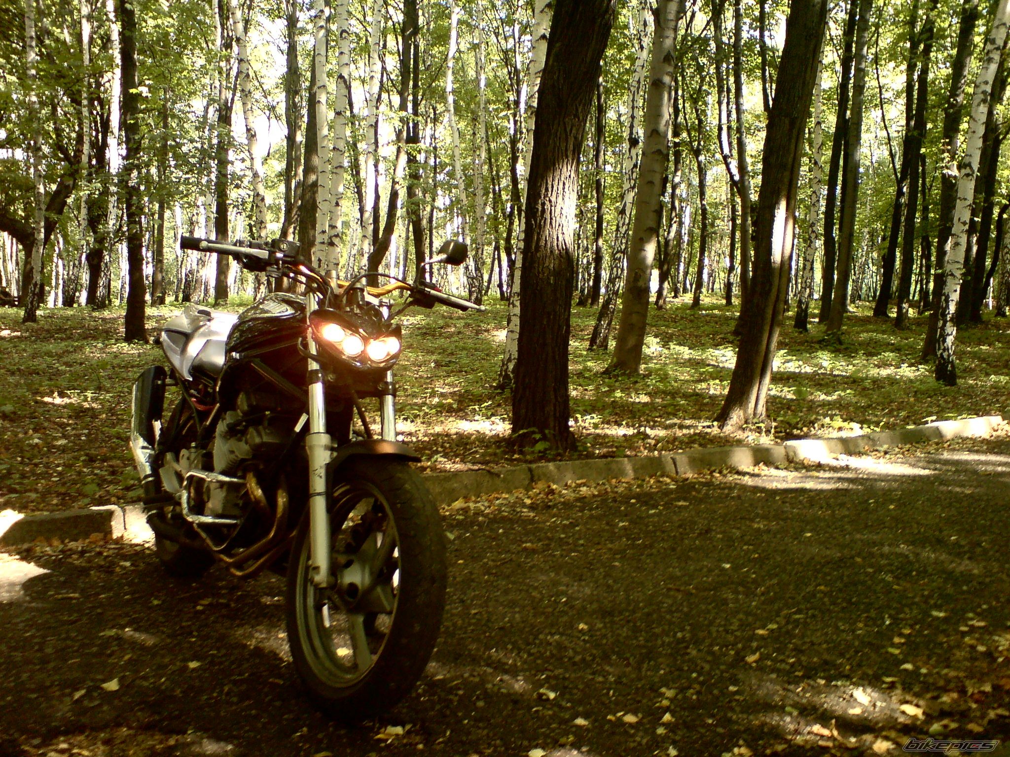 Bike Photo 1408636