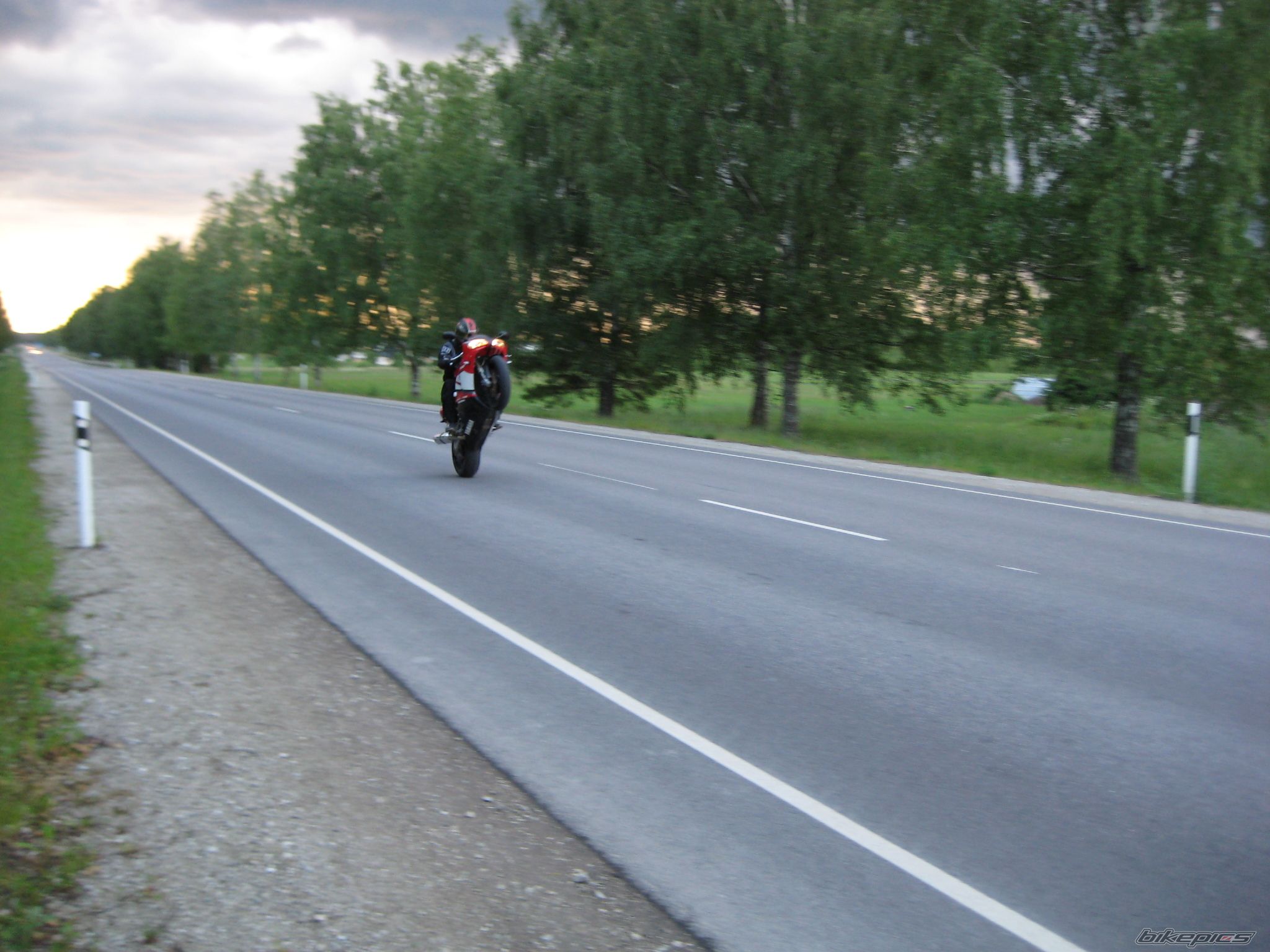 Photo 1408671