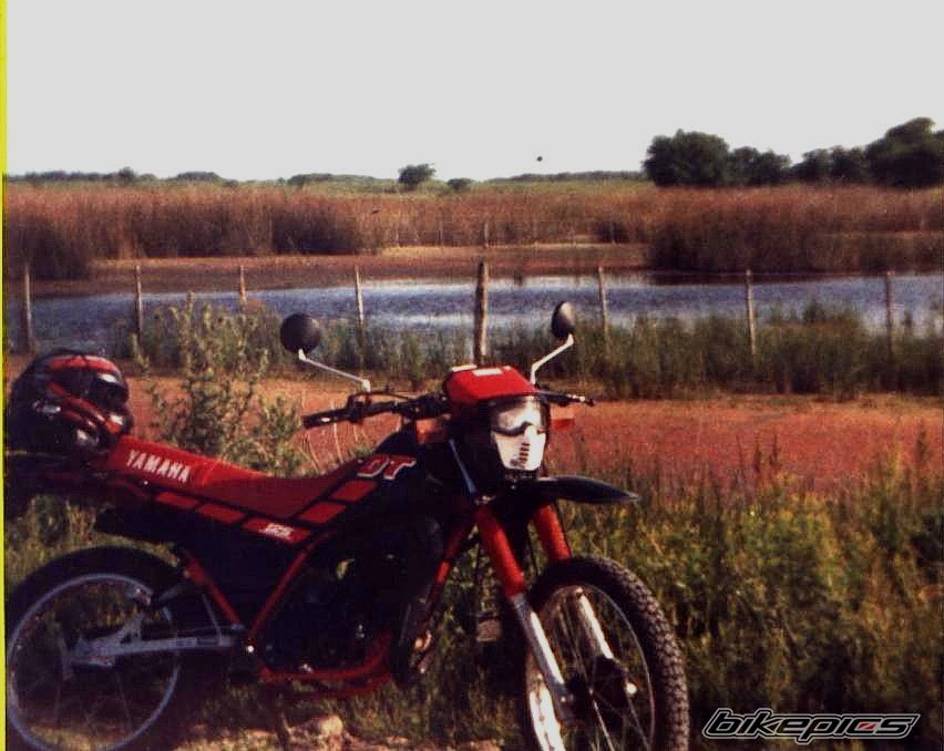 Photo 1408787