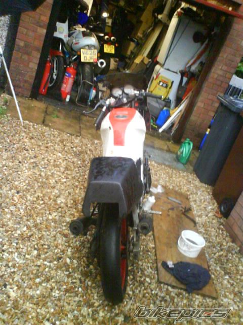 Photo 1408887