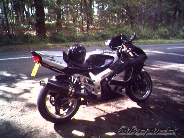 Photo 1408904