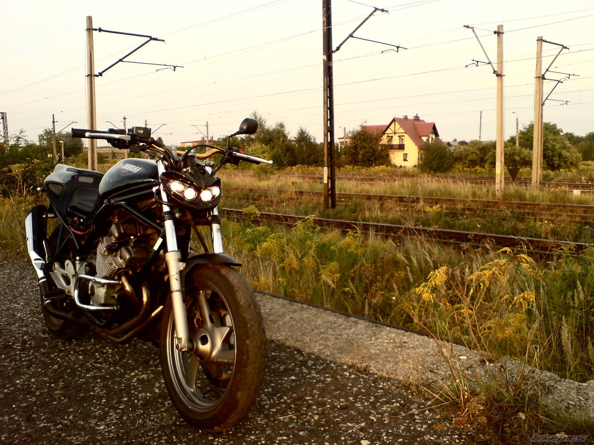 Photo 1408939