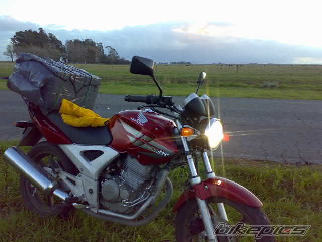 Photo 1408958