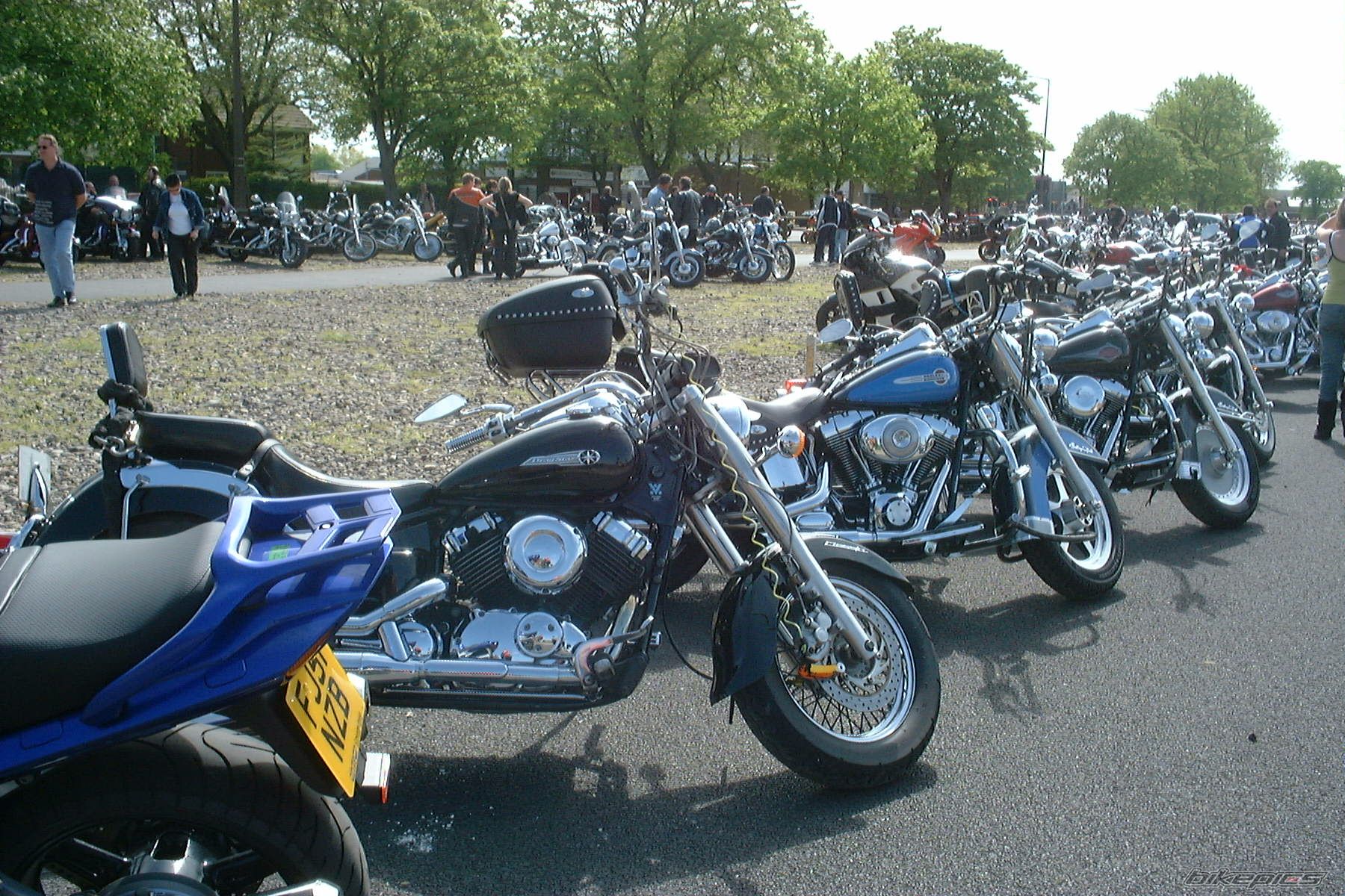 Photo 1408967