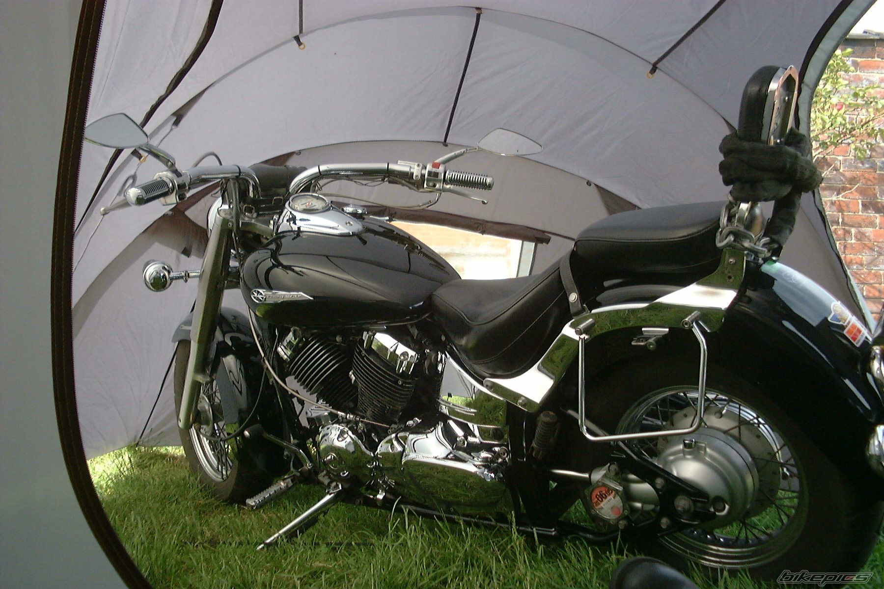 Photo 1408969
