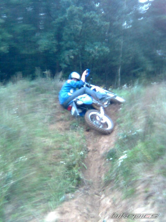 Photo 1409008