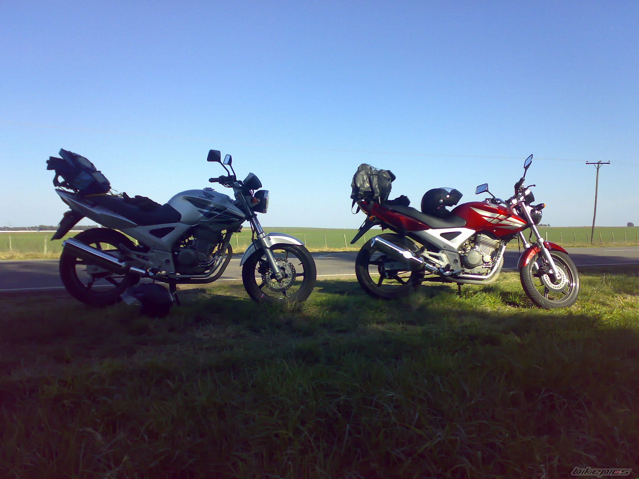 Photo 1409019