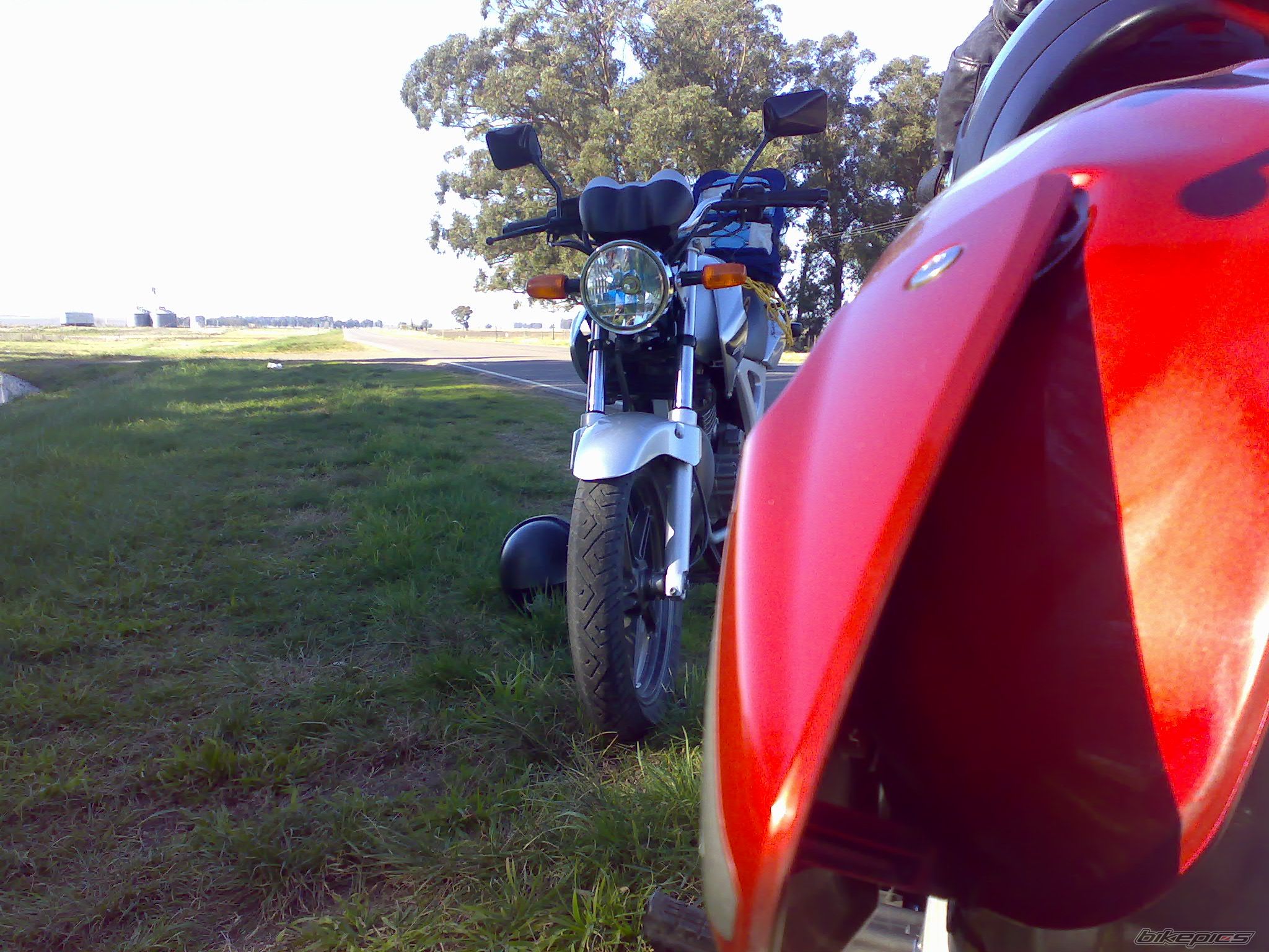 Photo 1409024