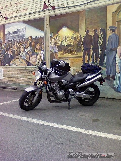 Photo 1409068