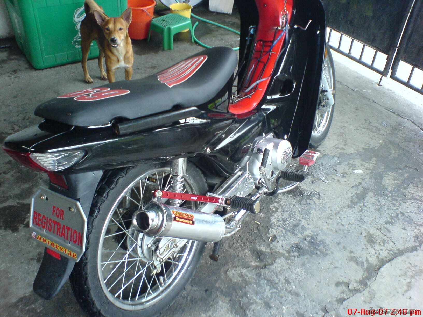 Photo 1409205