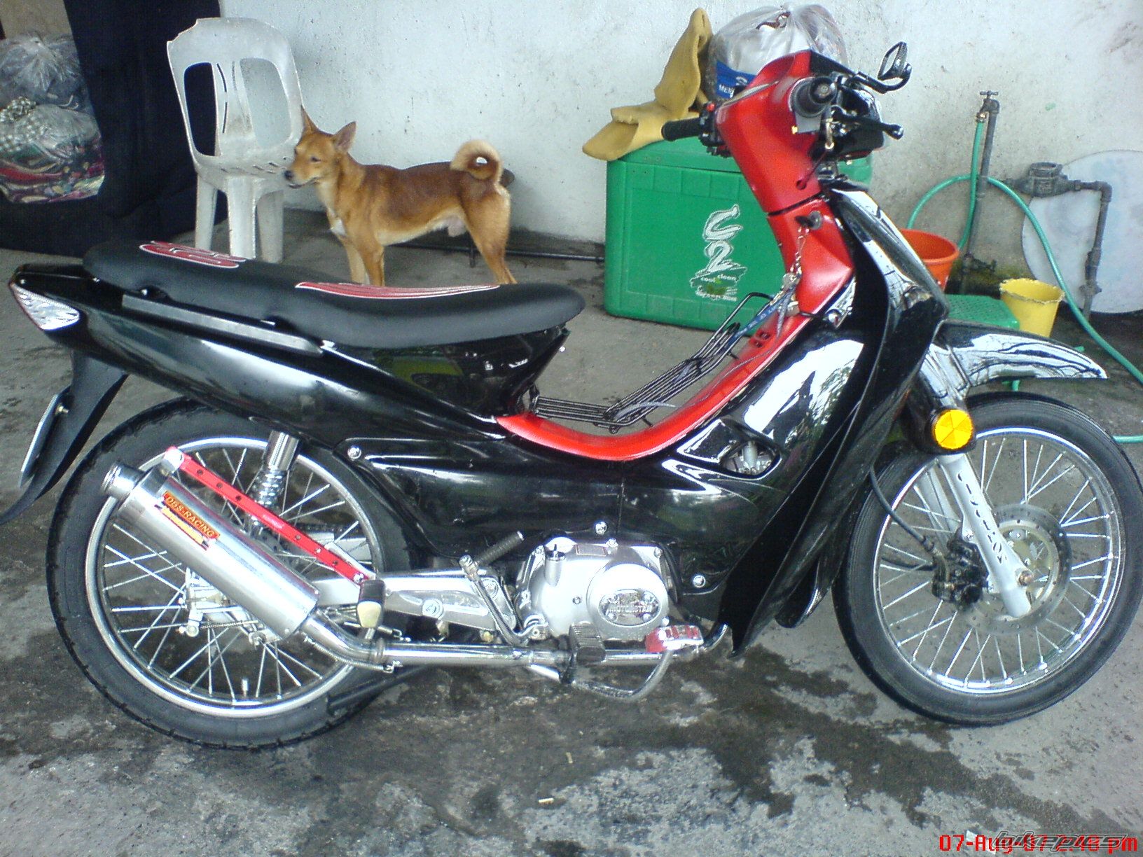 Photo 1409206