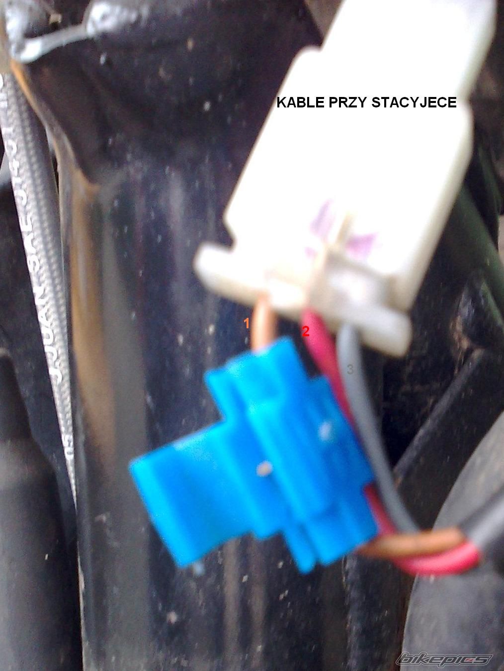 Photo 1409264