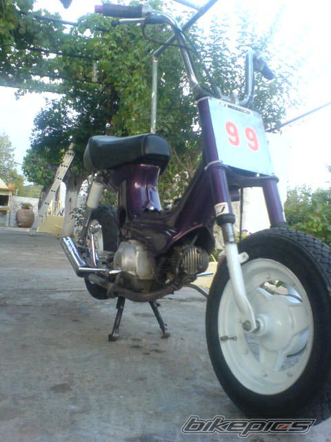 Photo 1409331