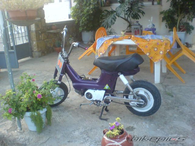 Photo 1409332