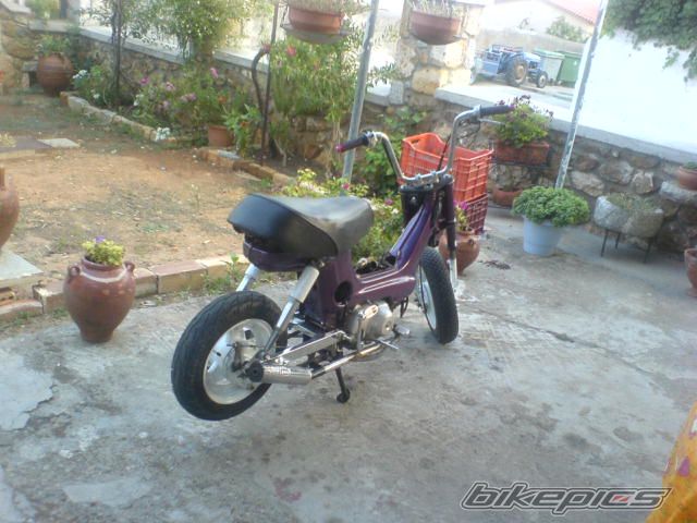 Photo 1409335