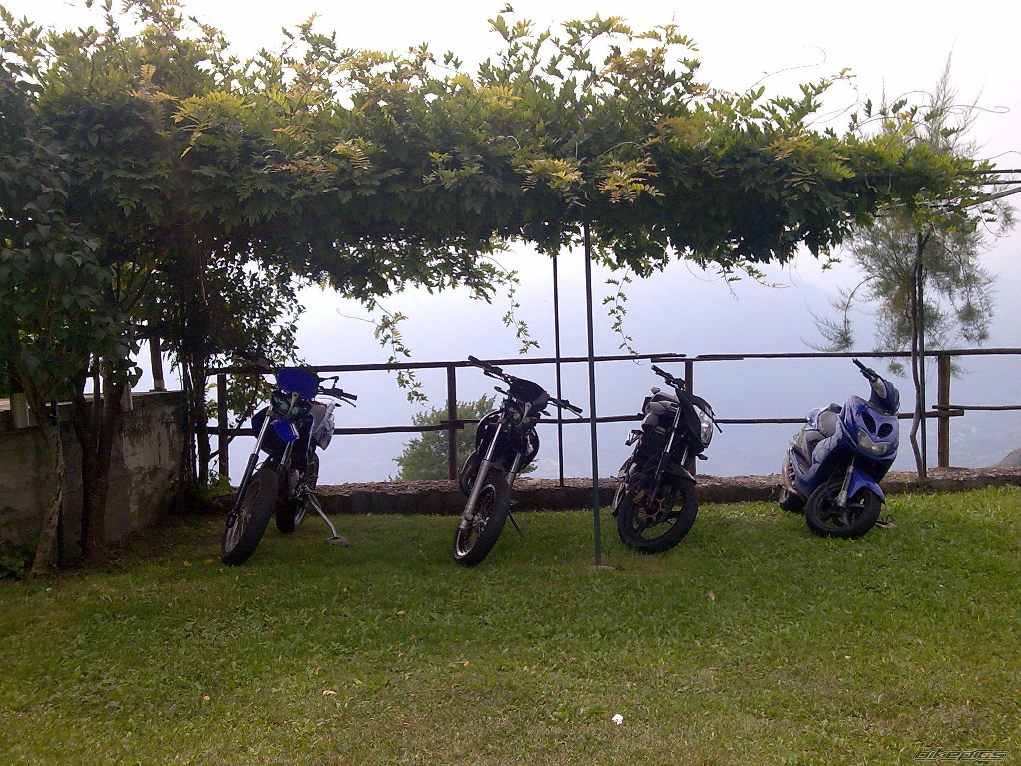 Photo 1409386