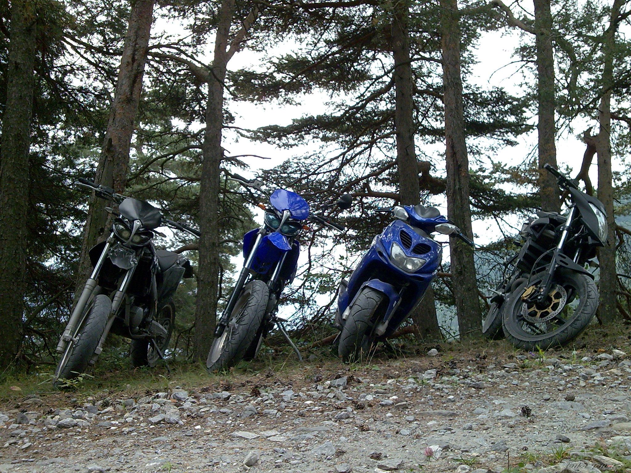 Bike Photo 1409387