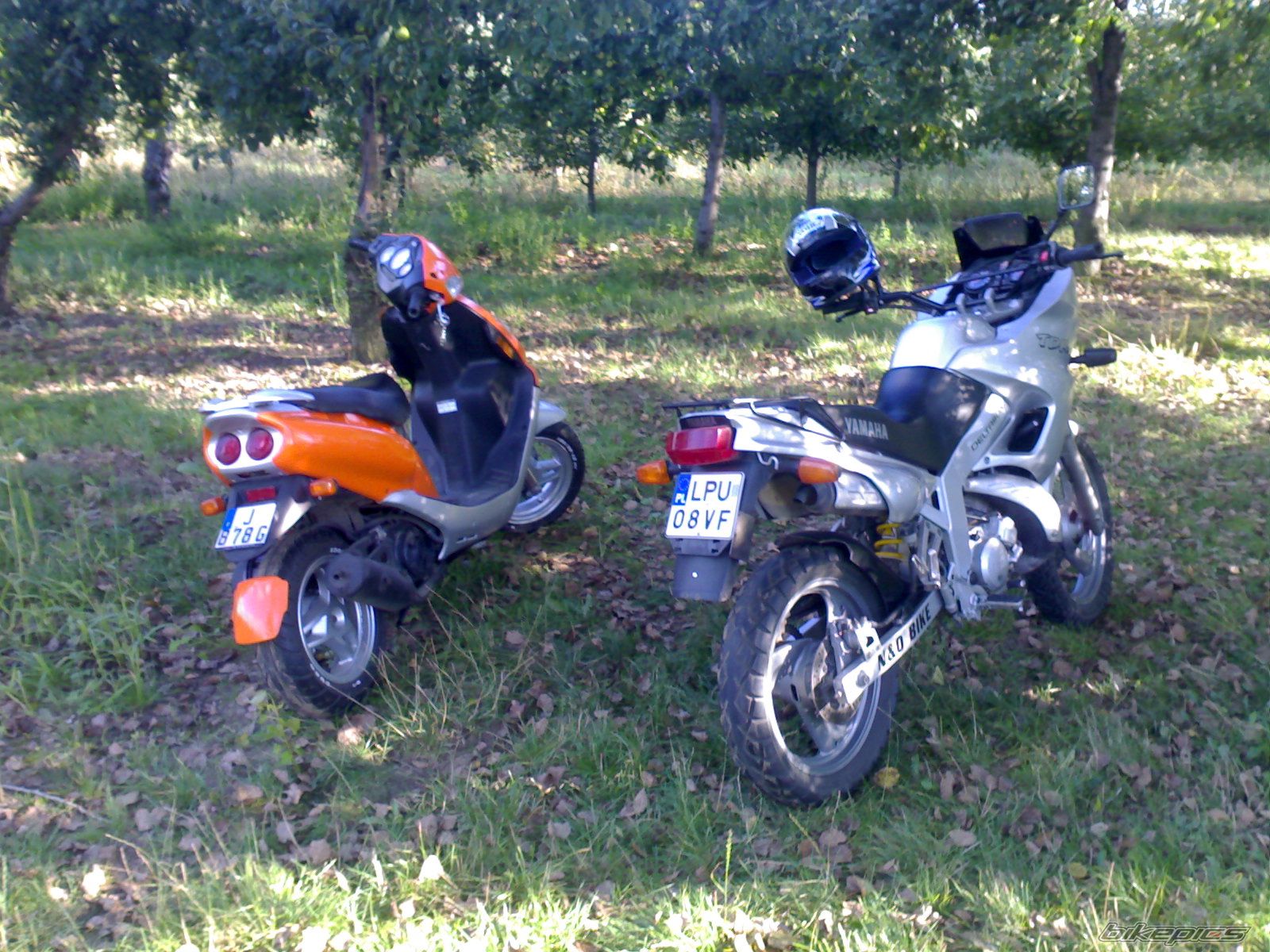 Photo 1409411