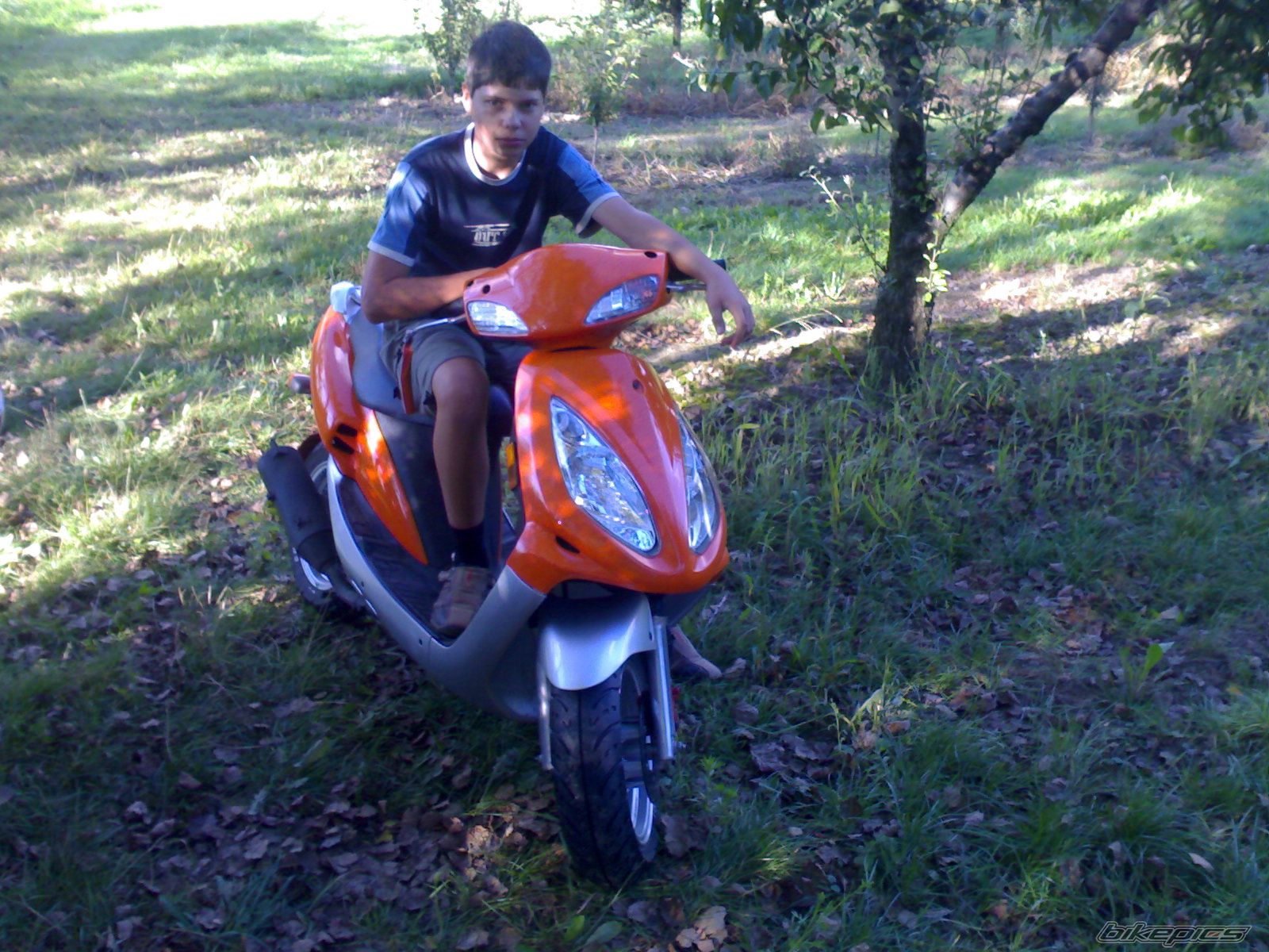 Photo 1409412