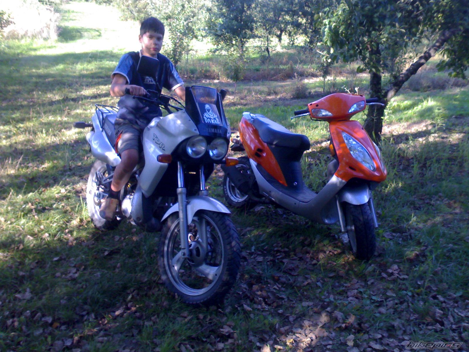 Photo 1409414