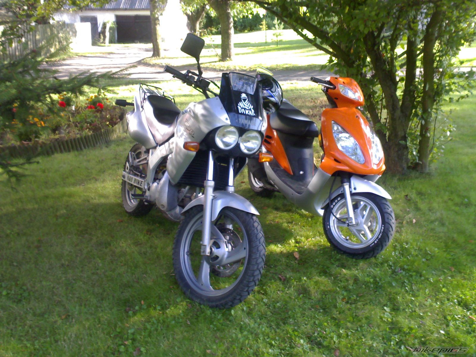 Photo 1409418