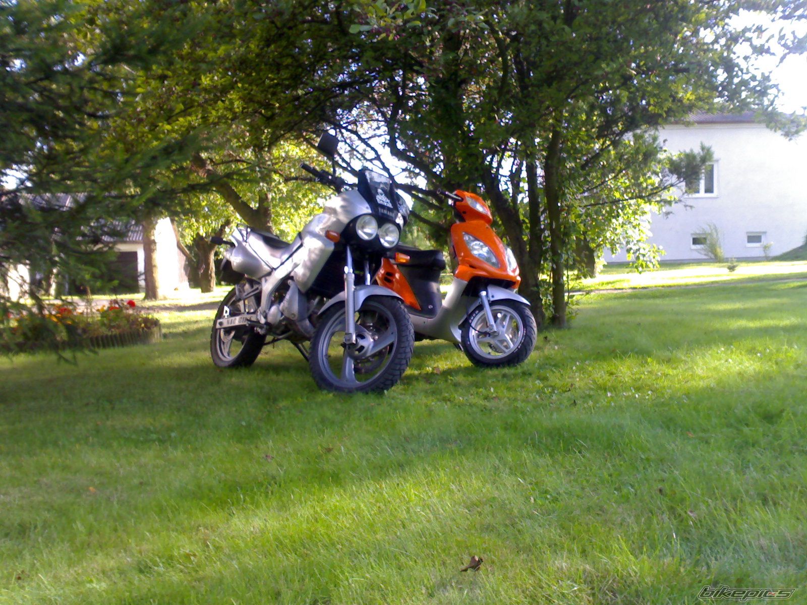 Photo 1409419
