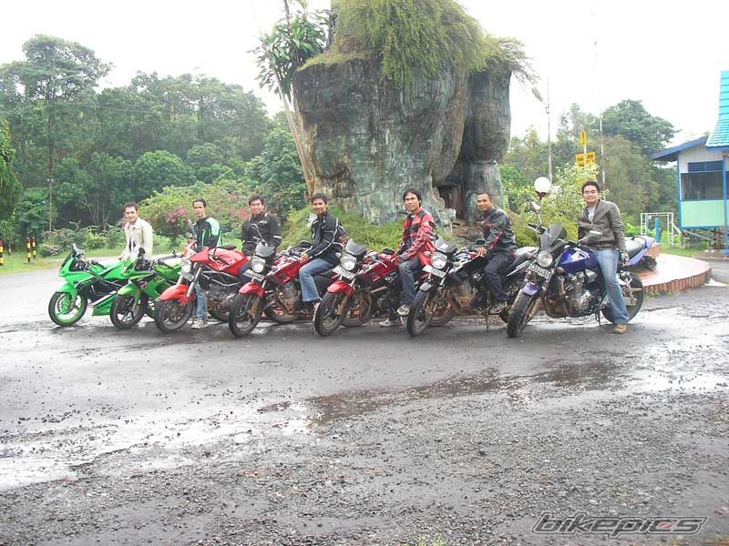 Photo 1409423