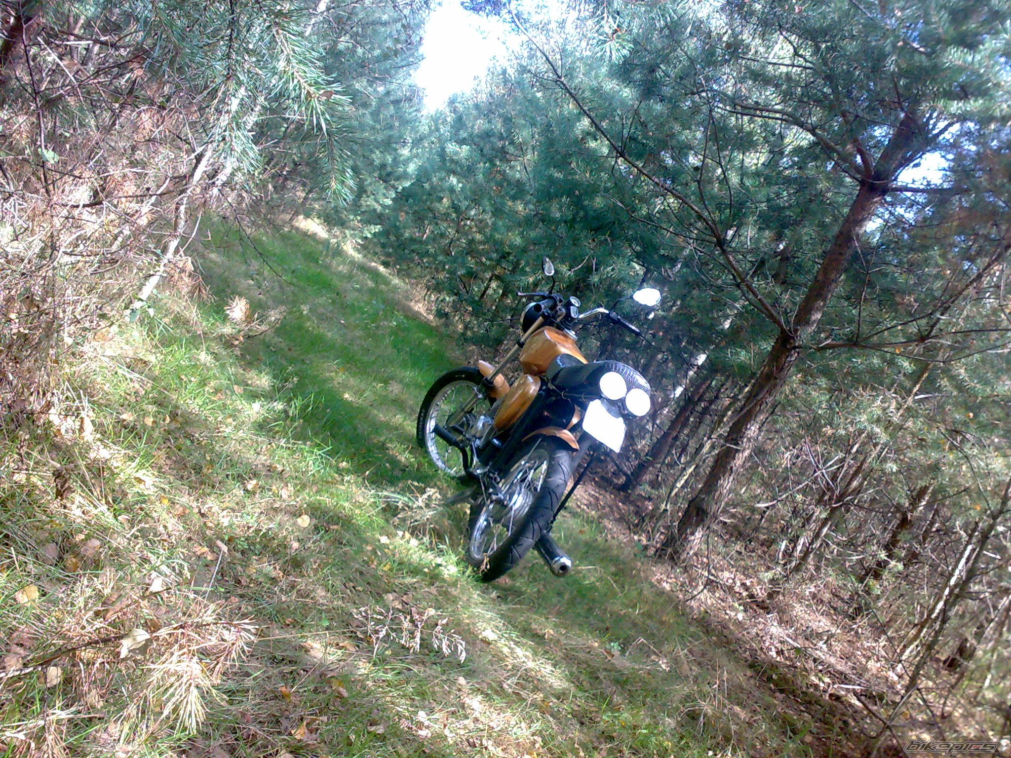 Photo 1409441