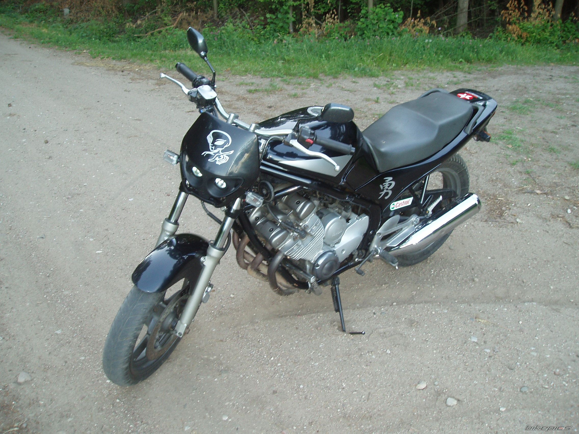 Photo 1409459