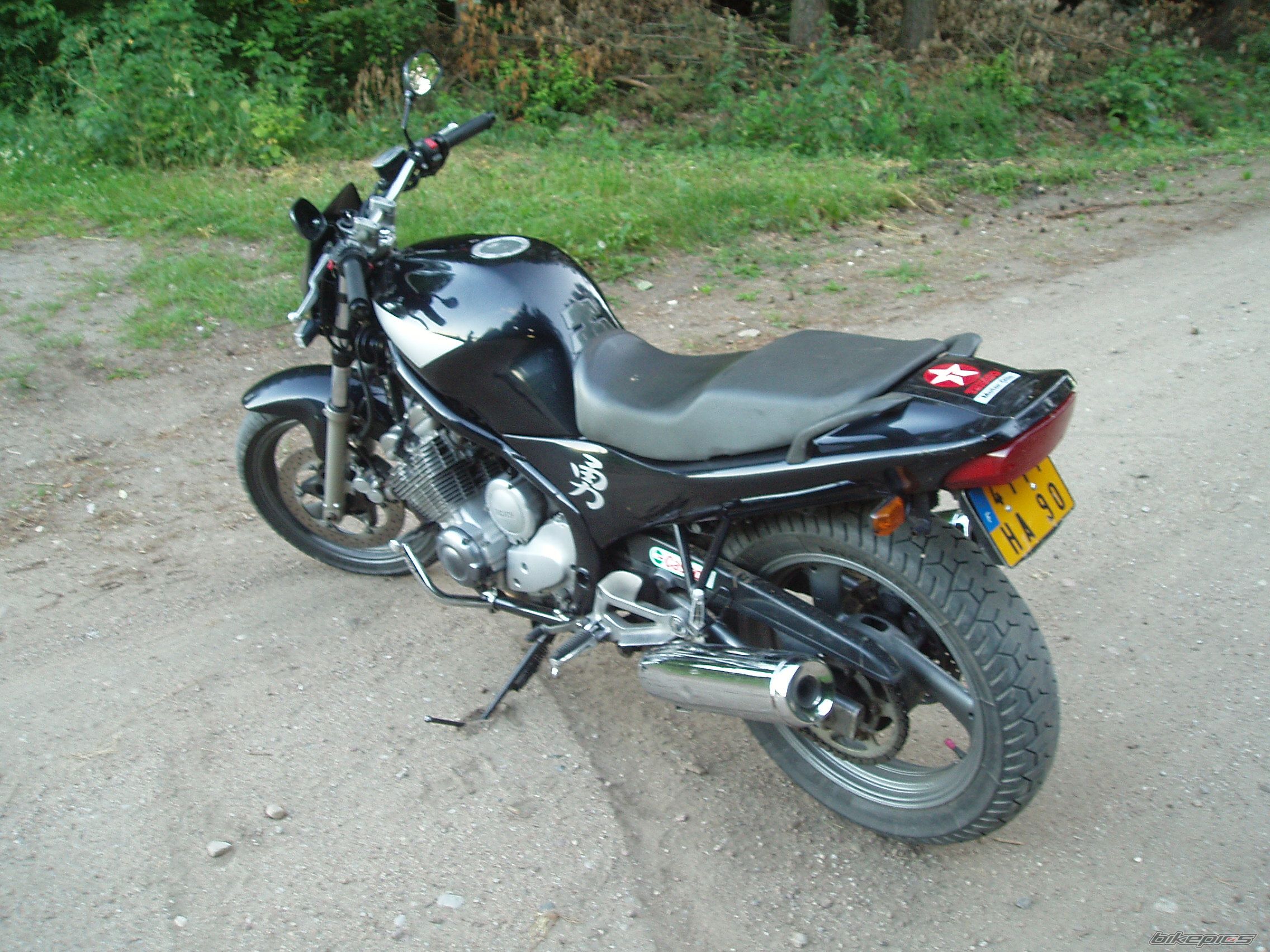Photo 1409460
