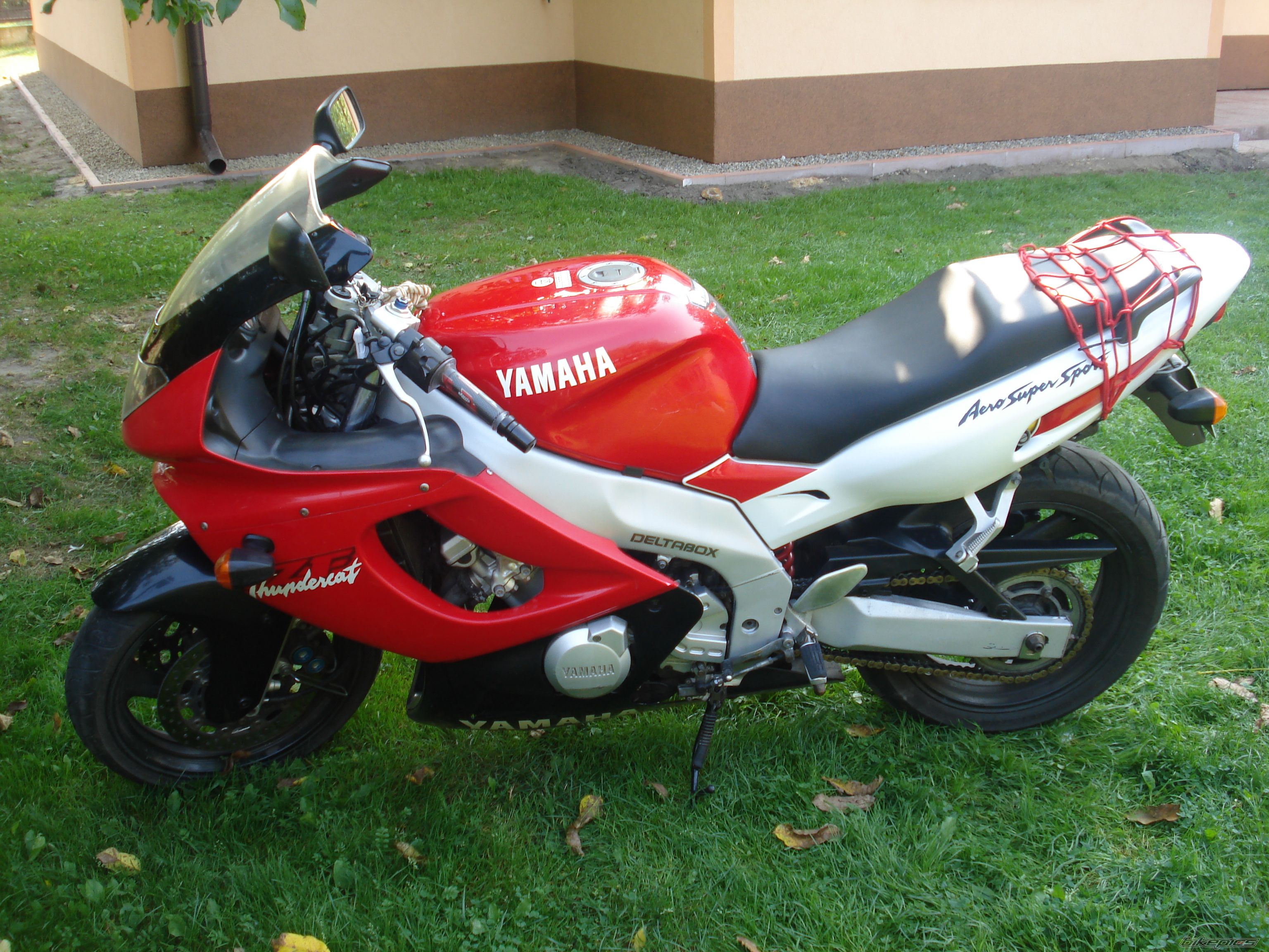 Photo 1409462