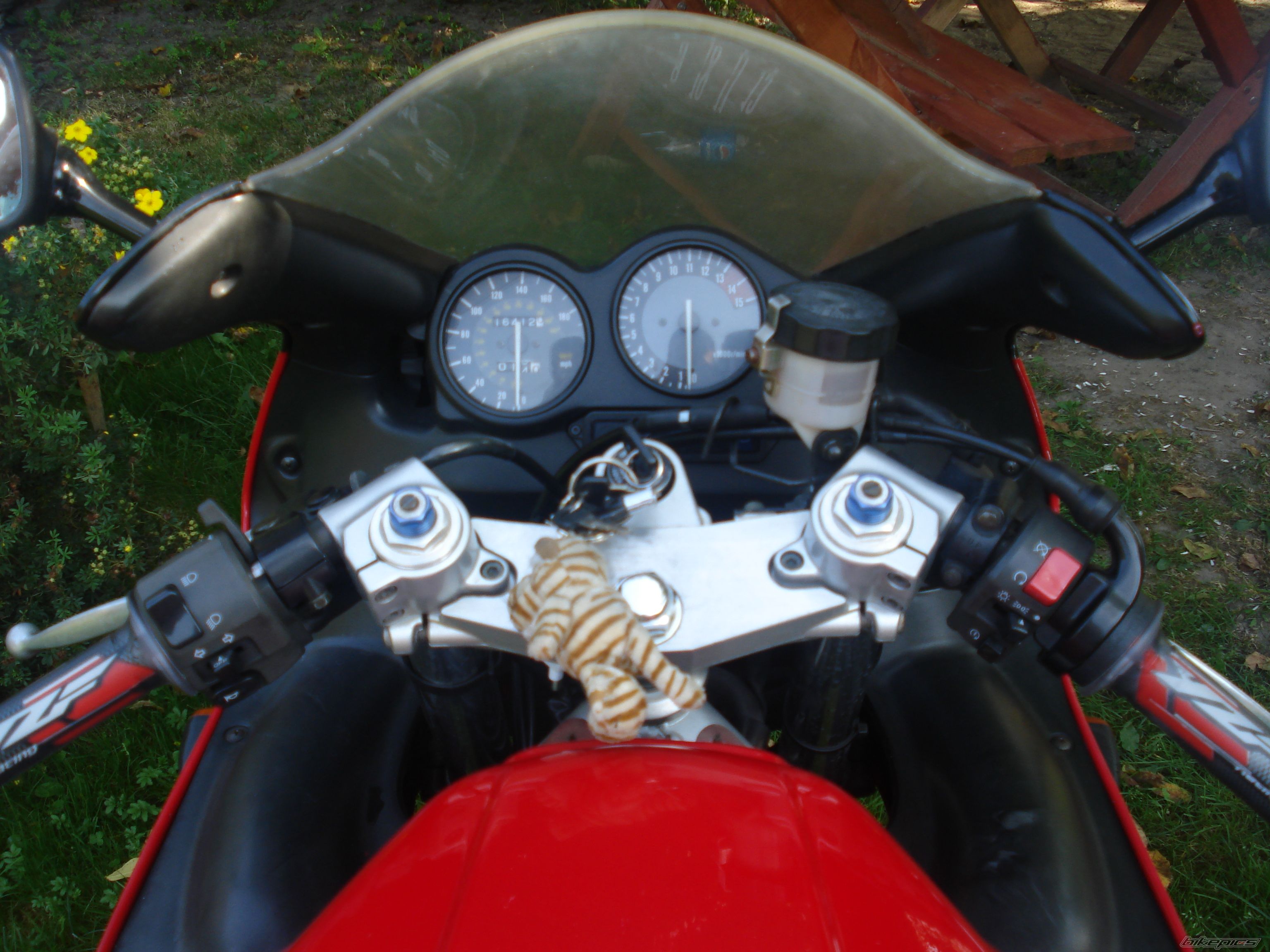 Photo 1409467