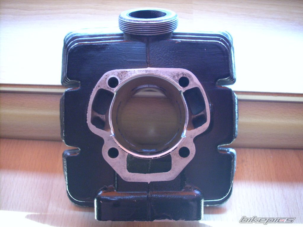 Photo 1409469