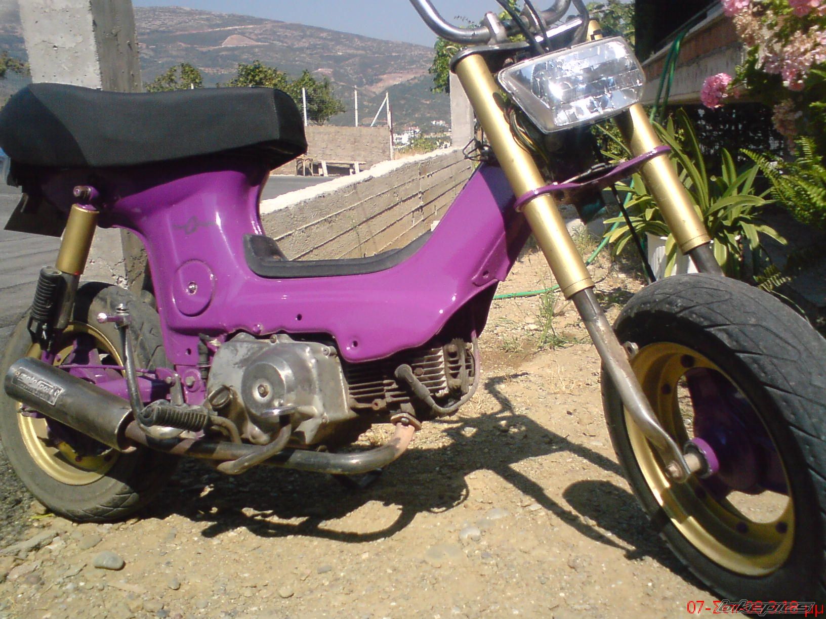 Photo 1409492