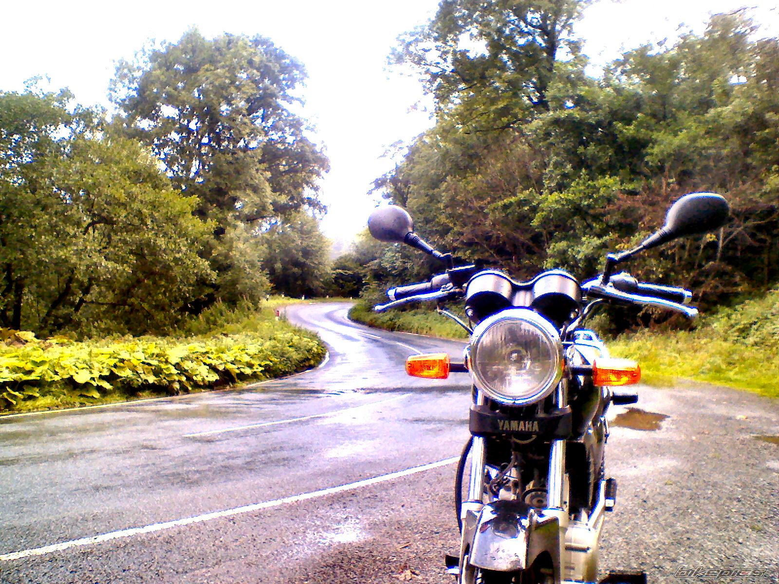 Photo 1409515