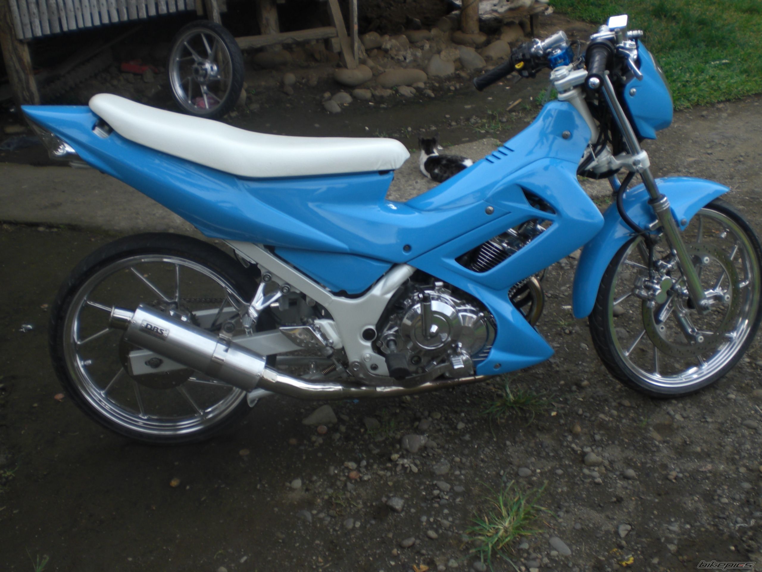 Photo 1409585