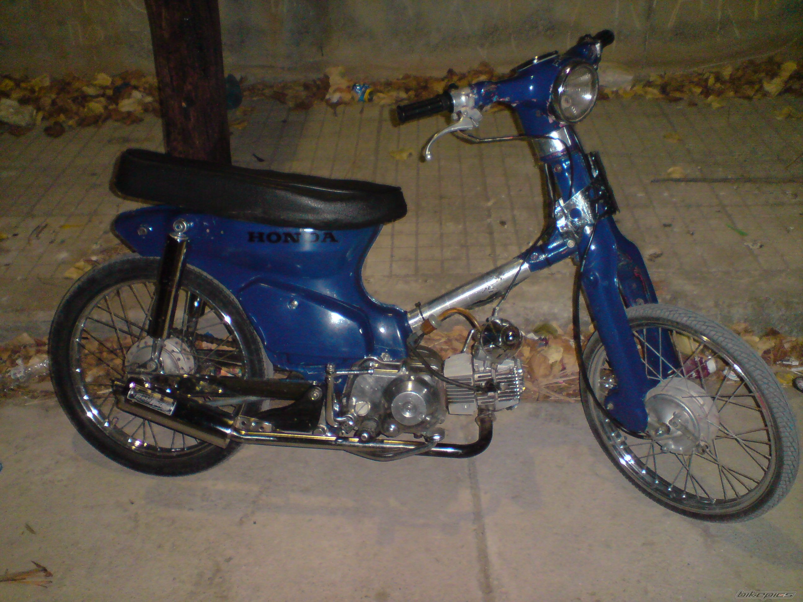 Photo 1409592