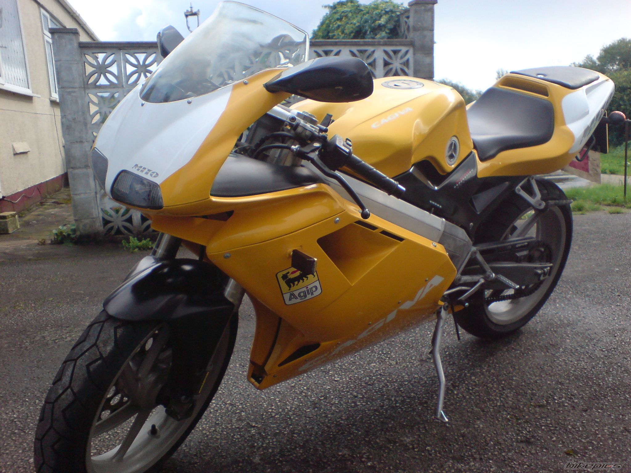 Photo 1409648