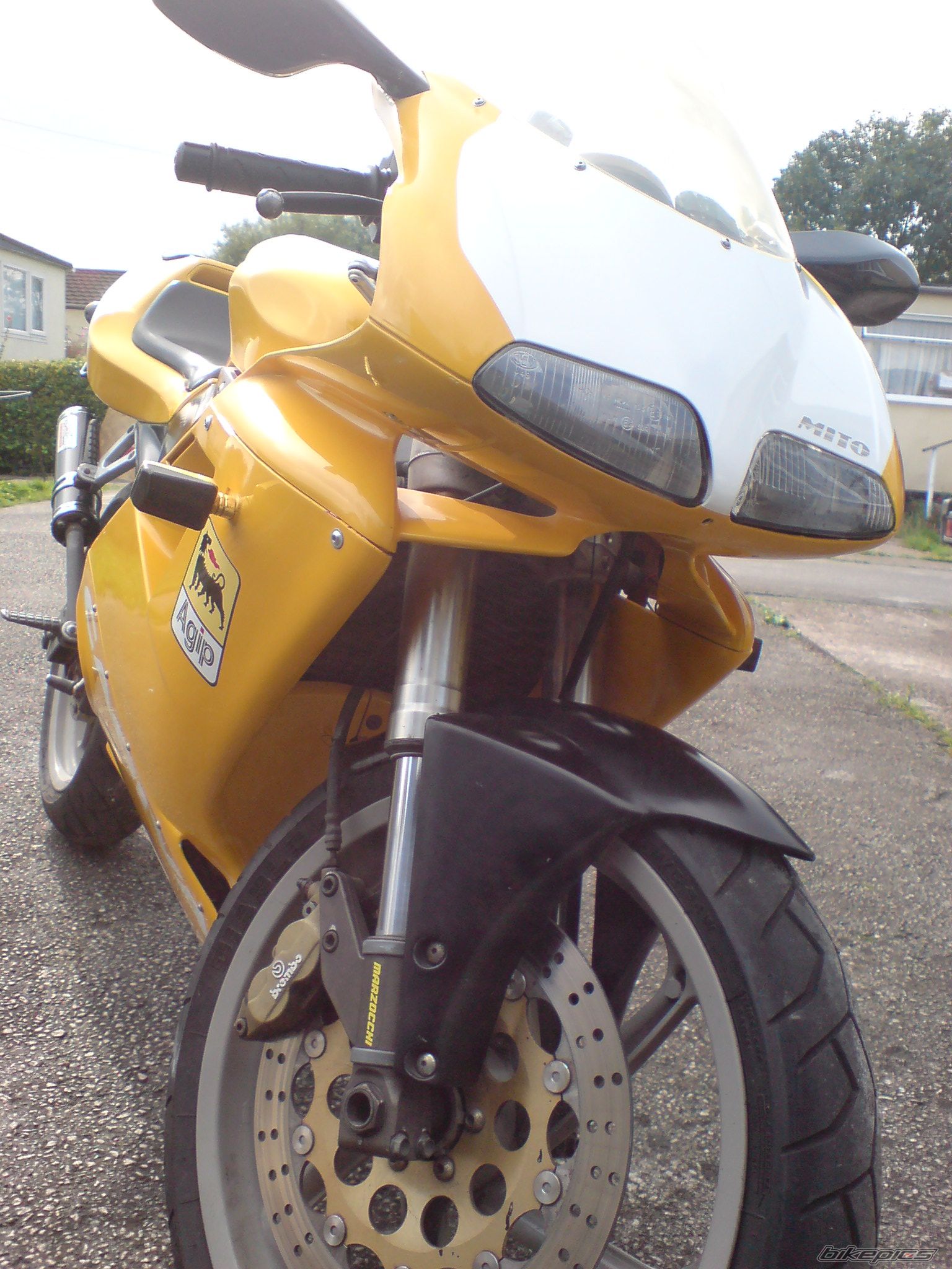 Photo 1409652