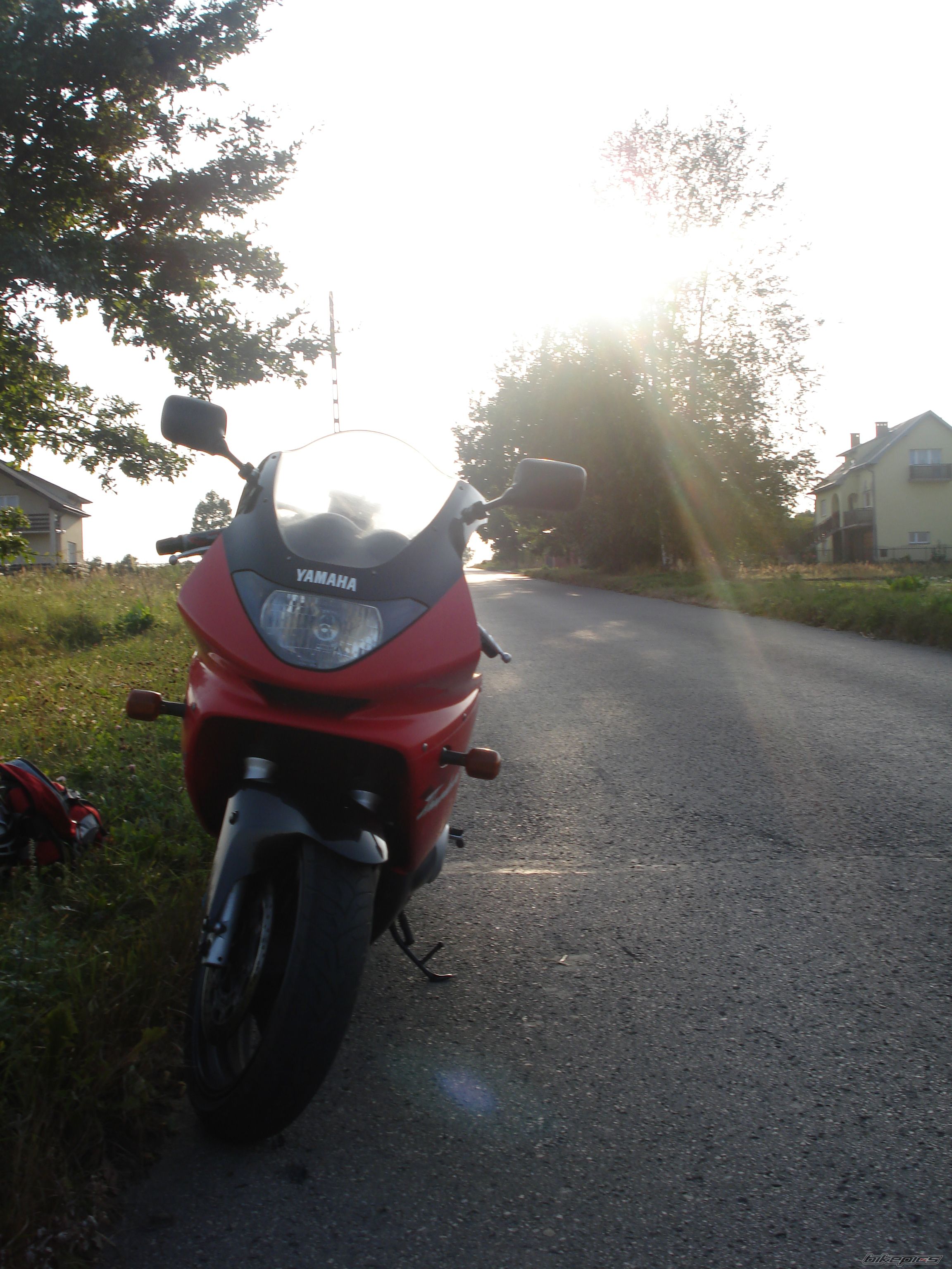 Photo 1409794